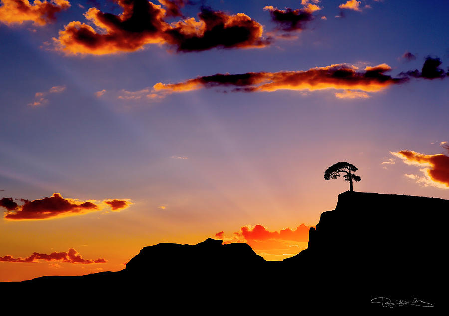 Fiery Sunset With Mountain And Tree In Silhouette Photograph by Dan Barba