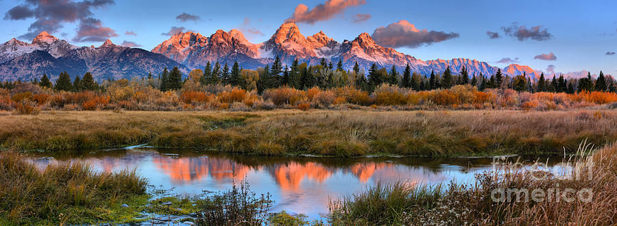 Fiery Teton Peaks Over The Willows Photograph by Adam Jewell