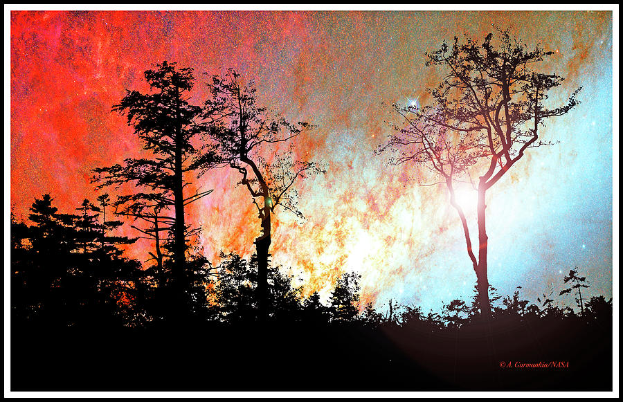 Fiery Thicket Sunset Fantasy Digital Art by A Macarthur Gurmankin