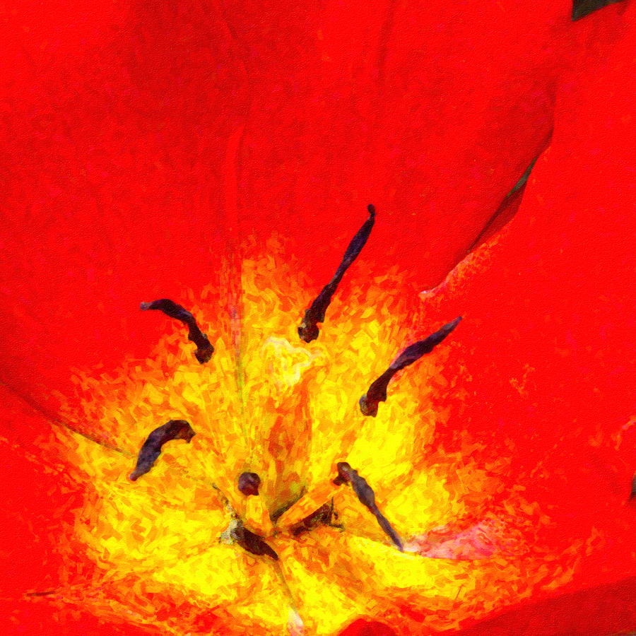 Fiery Tulip Digital Art by SR Green