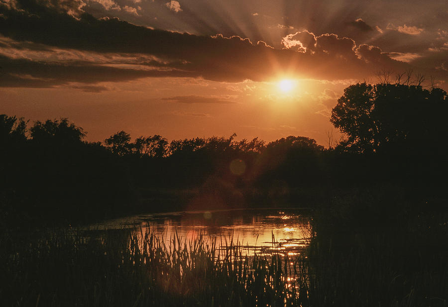 Fiery Wetland Sunset Photograph by David Drew