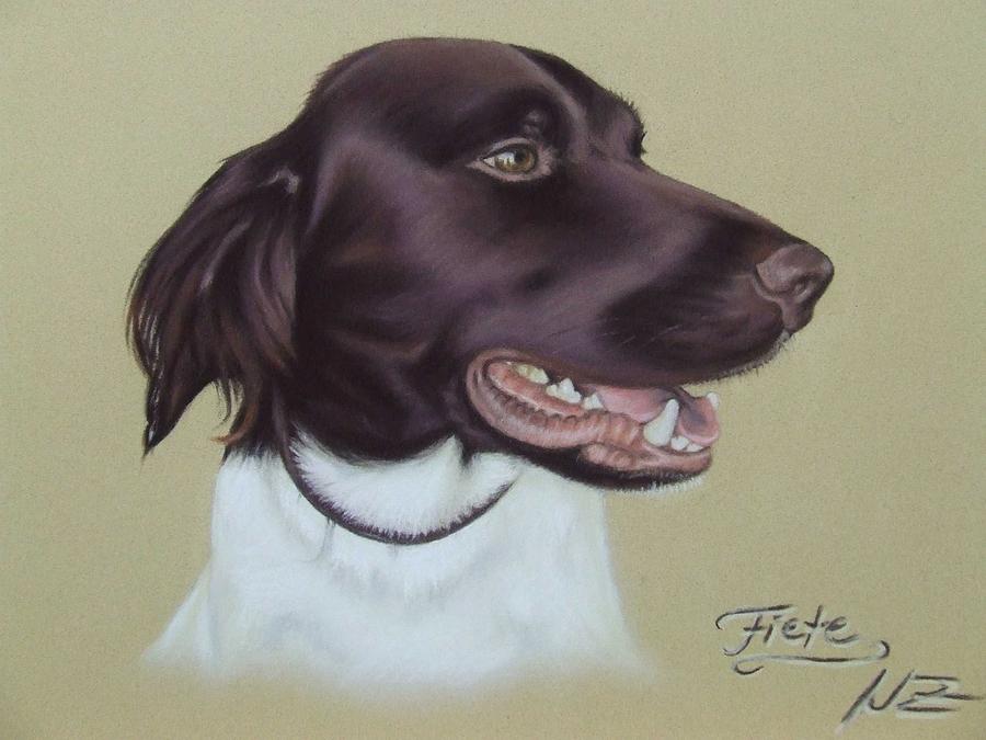 Dog Pastel - Fiete by Nicole Zeug