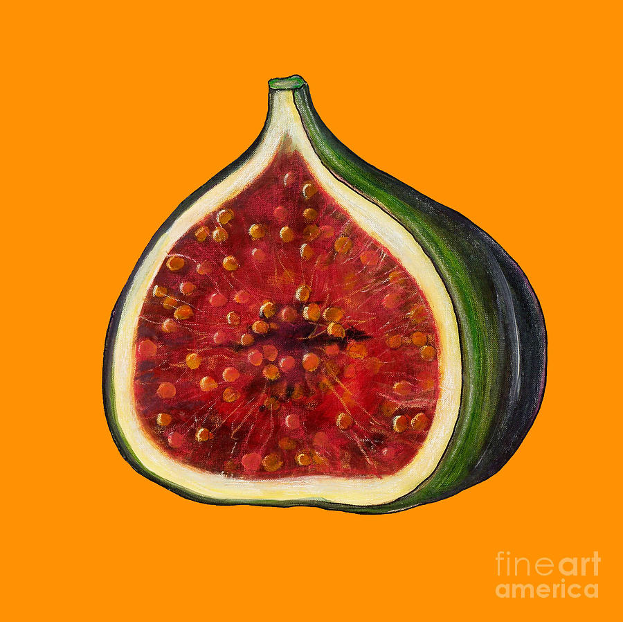 Fig on orange Painting by Sarah Thompson-Engels Fig on orange Painting by Sarah Thompson-Engels