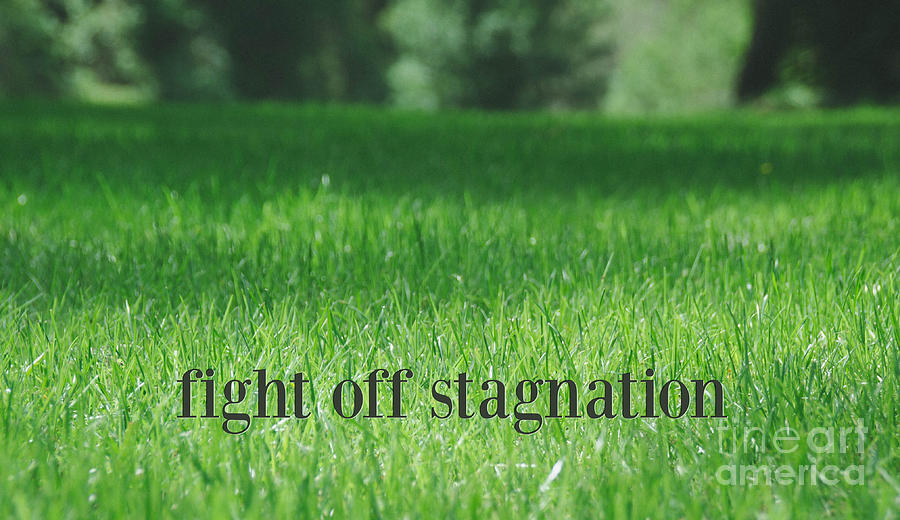 Fight Off Stagnation Photograph by Andrea Anderegg