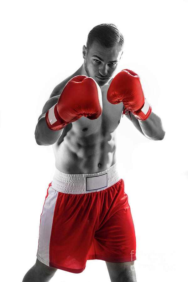 Fighter in a boxing position, ready to fight. Photograph by Michal Bednarek
