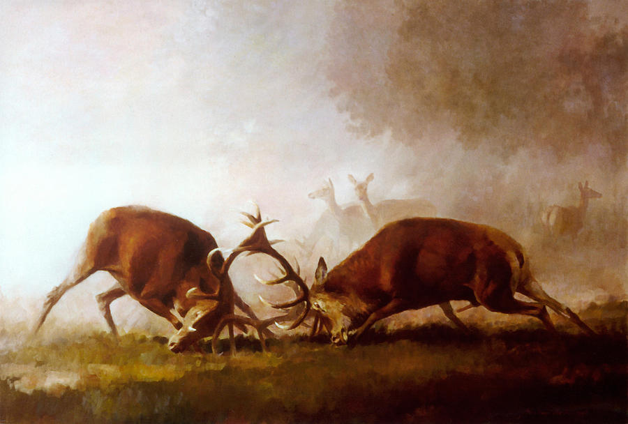 Fighting Stags II. Painting by Attila Meszlenyi