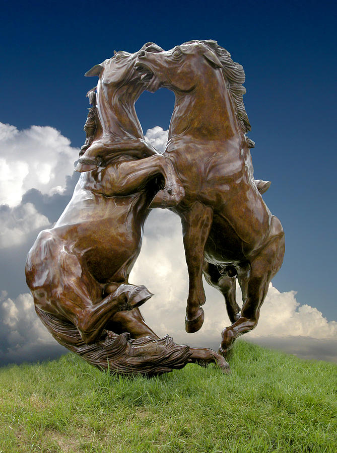 Fighting Stallions Photograph by Richard Stedman