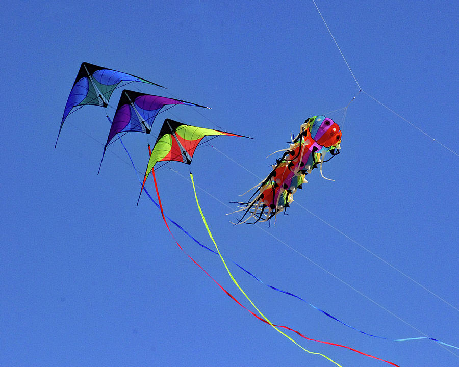 Fighting Kites 1 Photograph by Jerry Griffin