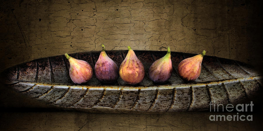 Figs In A Row Photograph by Sari Sauls