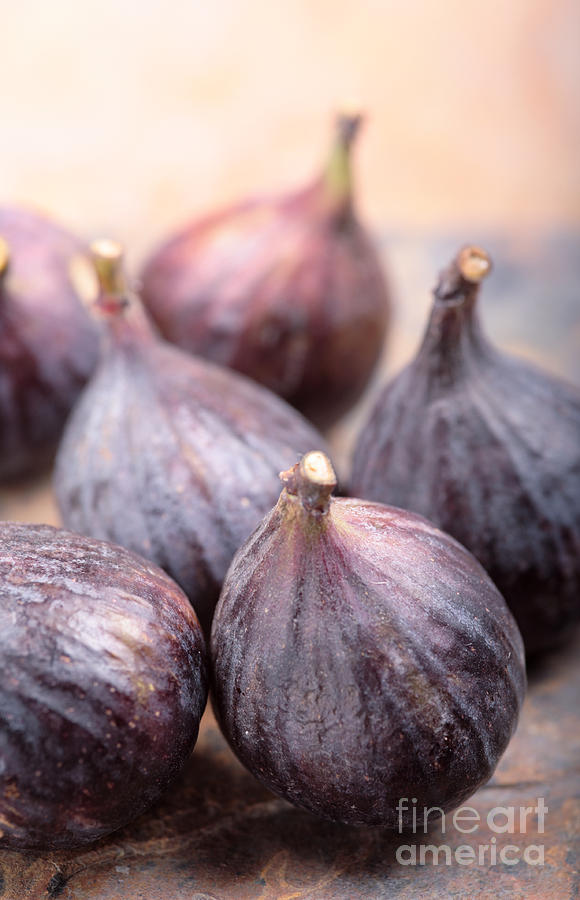 Figs Photograph by Neil Overy