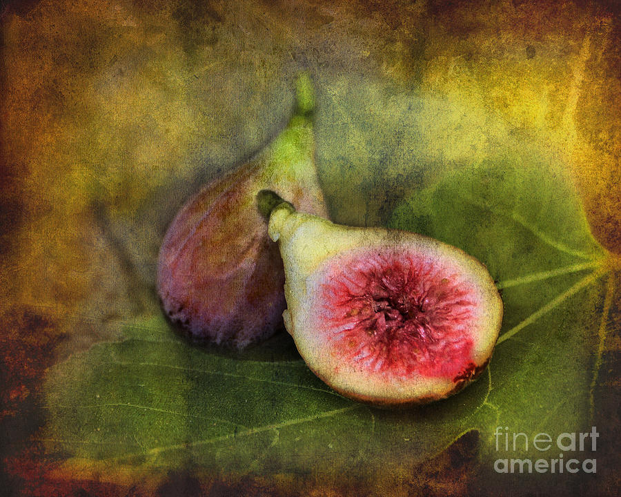 Figs Photograph by Sari Sauls