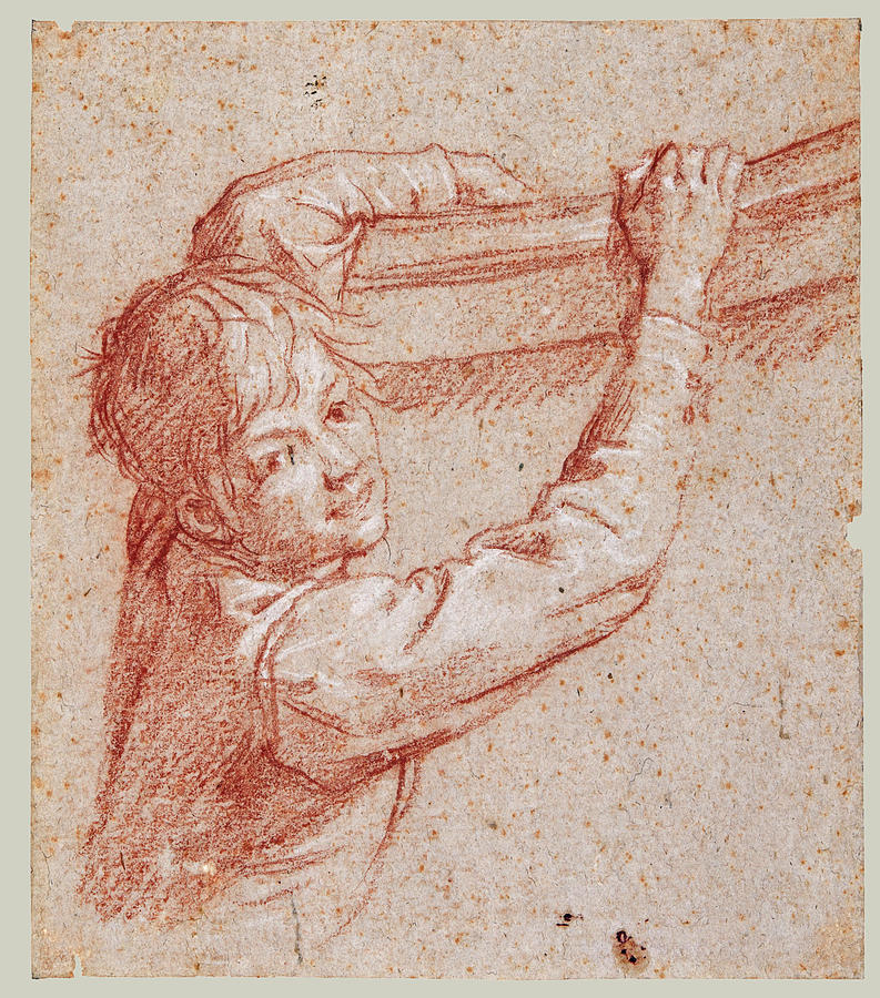 Figure of a boy half-length climbing a wall Drawing by Baldassare Franceschini