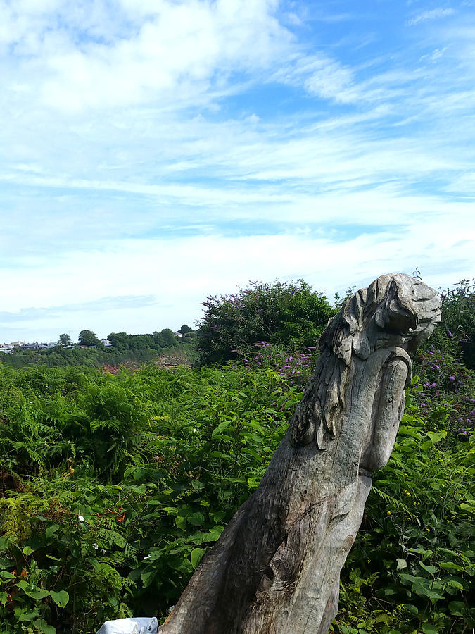 Figurehead At The Top Of St Marys Bay Brixham Devon Photograph by Mackenzie Moulton