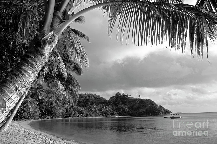 Fiji Cove Photograph by Becqi Sherman