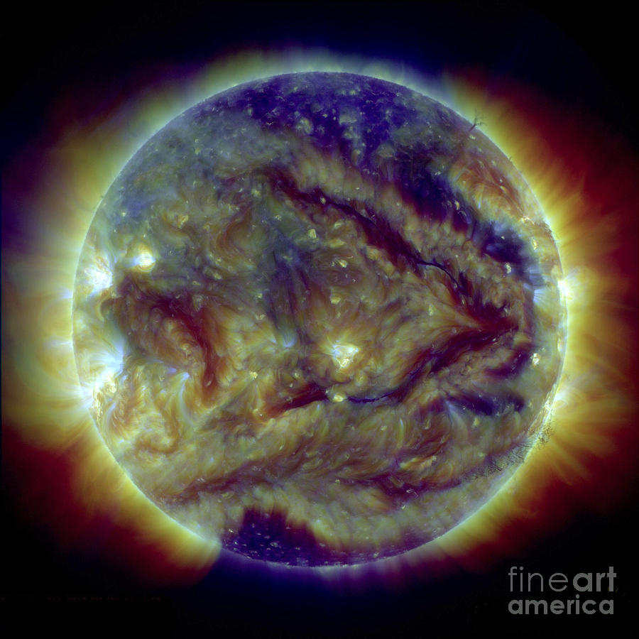Filaments On The Sun Photograph by Science Source