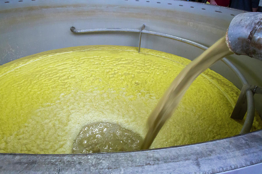 Featured image of post How to Make Corn Mash Fermentation