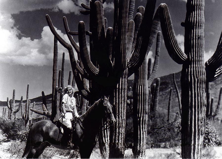 Film homage Jean Harlow Bombshell 1933 Saguaro National Monument Tucson  Arizona  duo-tone 2008 Photograph by David Lee Guss