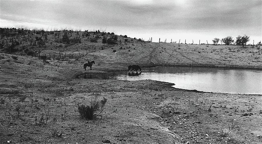 Film Noir John Alton Anthony Mann Border Incident 1949 1 Cowboy Watering Horses Mexico Border 1969 Photograph by David Lee Guss