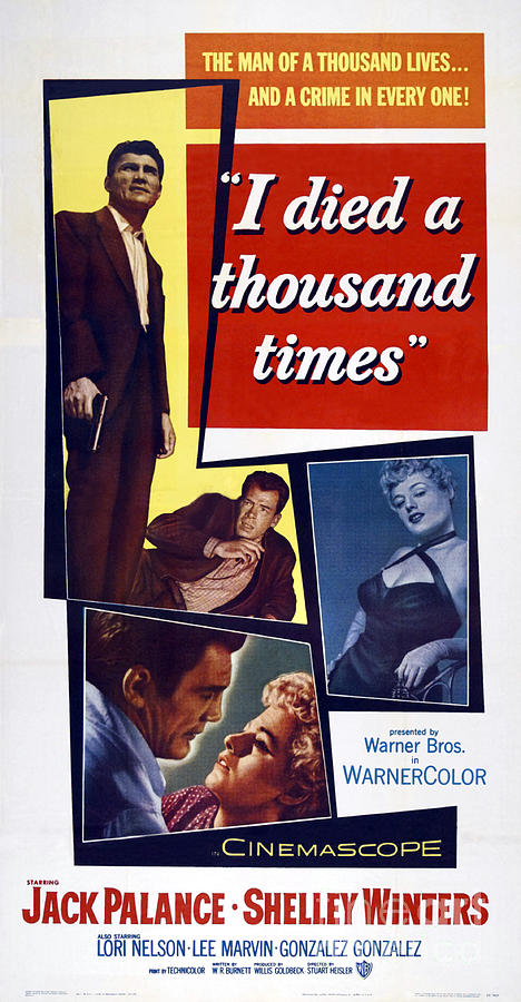 Film Noir Movie Poster I Died A Thousand Times Jack Palance Shelley Winters Painting by Vintage Collectables