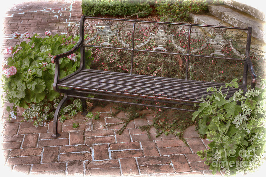 Filoli Bench Photograph by Marilyn Cornwell