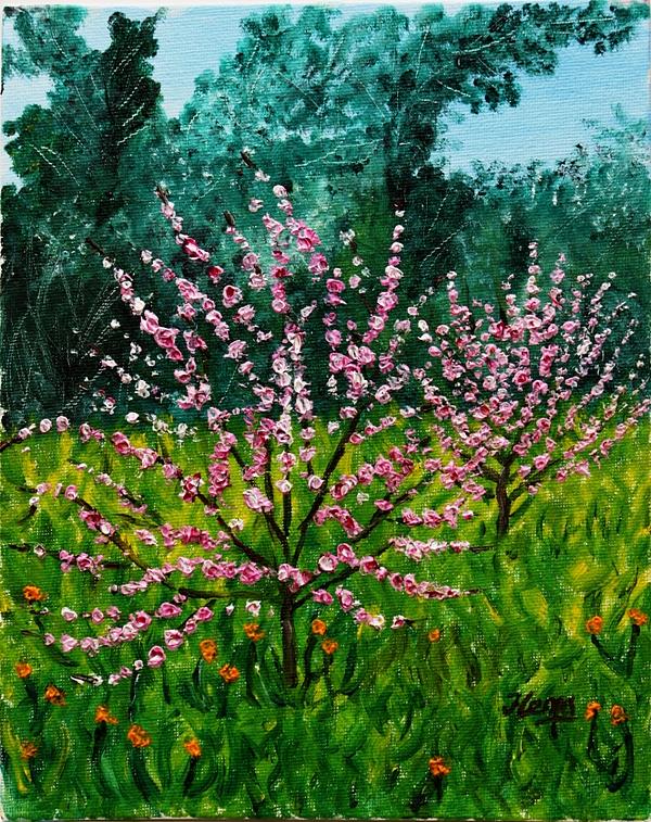 Cherry Blossom Painting - Filoli Garden - Pink Blossoms Painting by Hema Sukumar