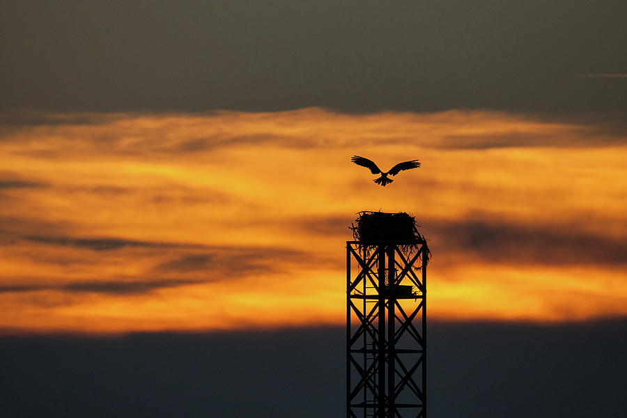 Final Approach Photograph by Robbie Johnson - Fine Art America