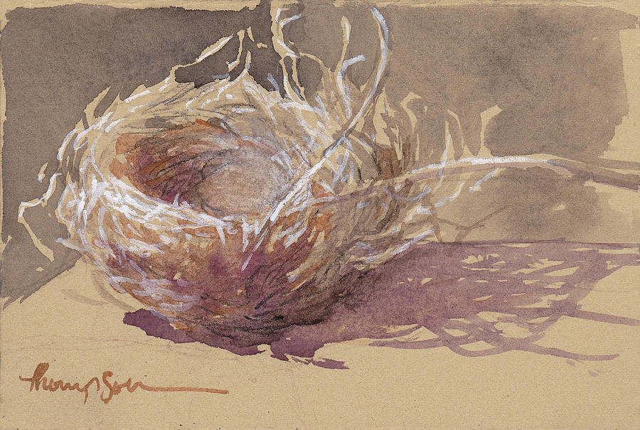 Wildlife Drawing - Finch Nest by Tracie Thompson
