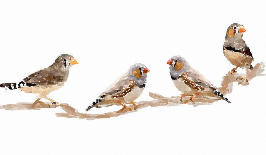 Finches Painting by Chris Butler