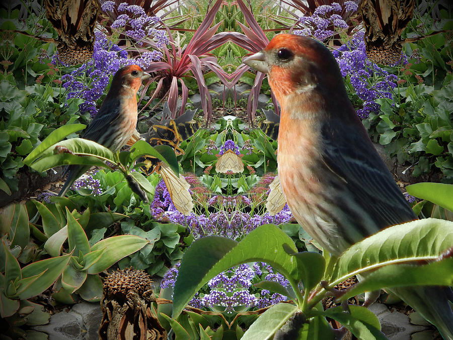 Finches In Paradise Digital Art by Glen Faxon