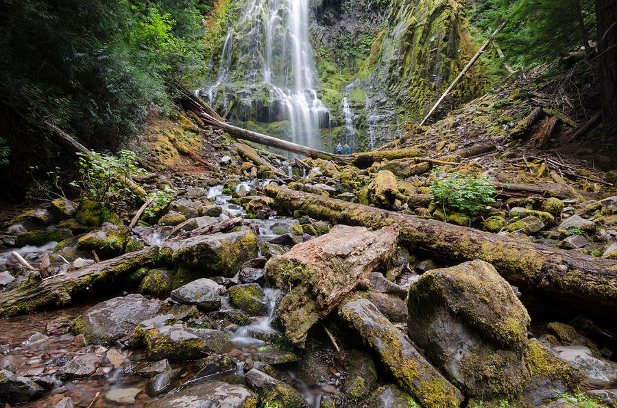 Waterfall Photograph - Find A Way by Margaret Pitcher Waterfall Photograph - Find A Way by Margaret Pitcher