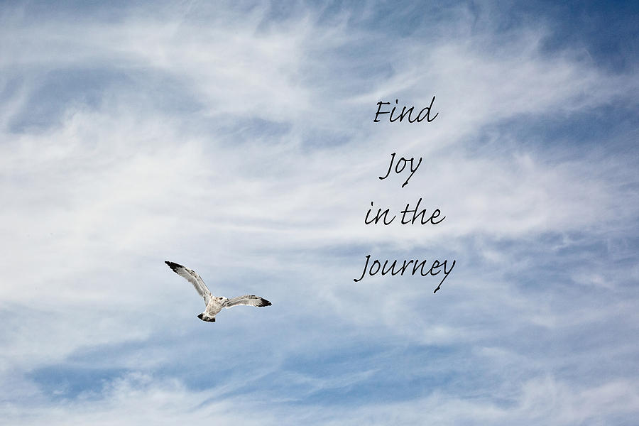 Find Joy in the Journey Photograph by Scott Pellegrin