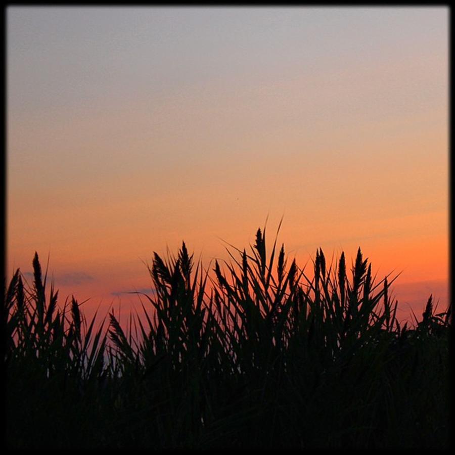 Sunset Photograph - Find Peace In Every Sunset by Jen Peterman