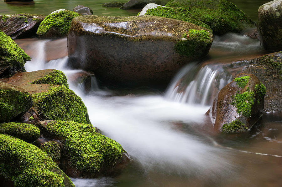 Find Your Path by Expressive Landscapes Nature Photography Find Your Path by Expressive Landscapes Nature Photography