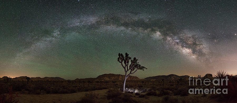 Finding Joshua Tree Milky Way Panorama Photograph by Michael Ver Sprill