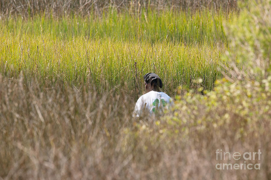 Finding Spartina Grass Photograph by Dale Powell