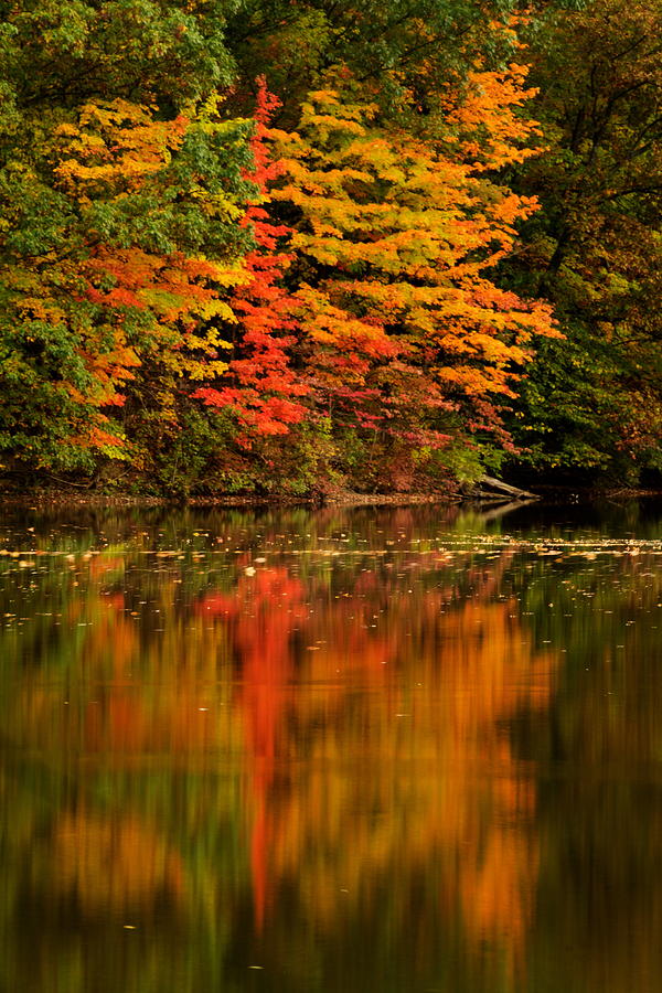 Findley State Park Photograph by Amanda Kiplinger - Fine Art America