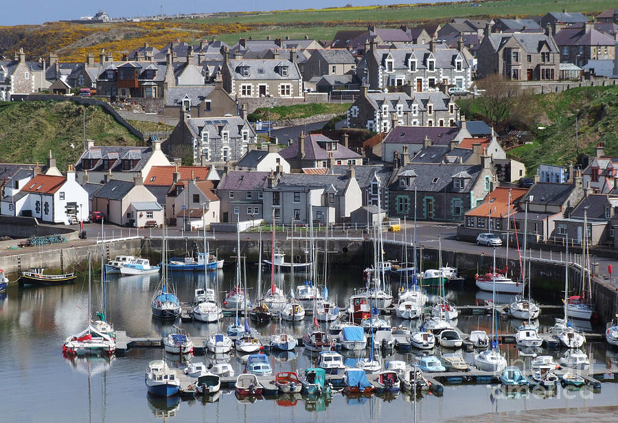 Findochty Harbour - Scotland Photograph by Phil Banks