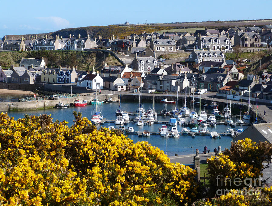 Findochty Harbour - Spring Photograph by Phil Banks