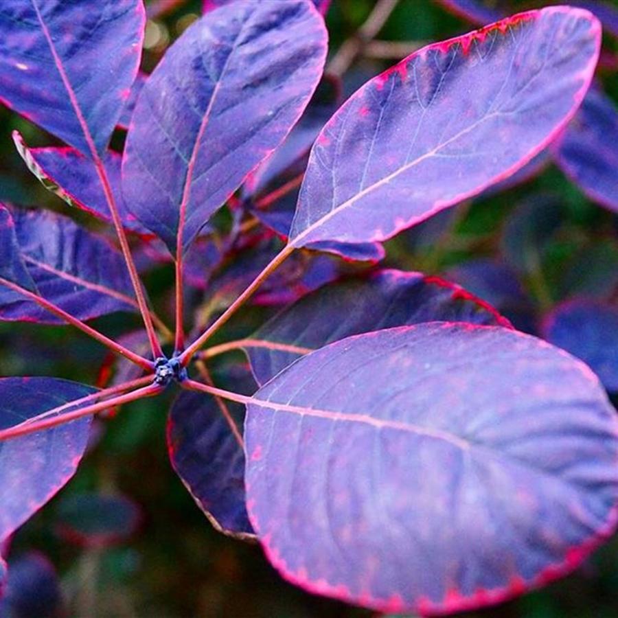 Autumn Photograph - Fine Autumn So Much Magic To See How I by Dante Harker Autumn Photograph - Fine Autumn So Much Magic To See How I by Dante Harker