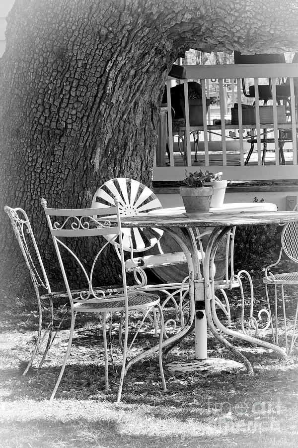 Fine Dining Country Style bw Photograph by Ella Kaye Dickey