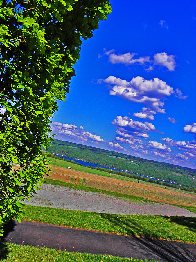 Grape Photograph - Finger Lakes Country by Elizabeth Hoskinson