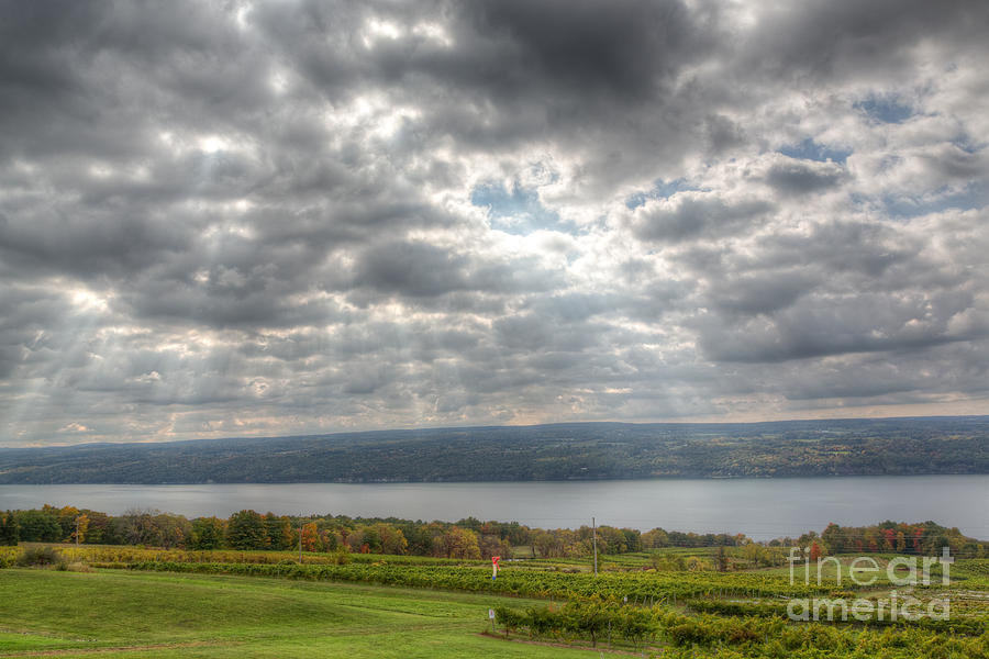 Finger Lakes Wine Country Photograph by Michele Steffey
