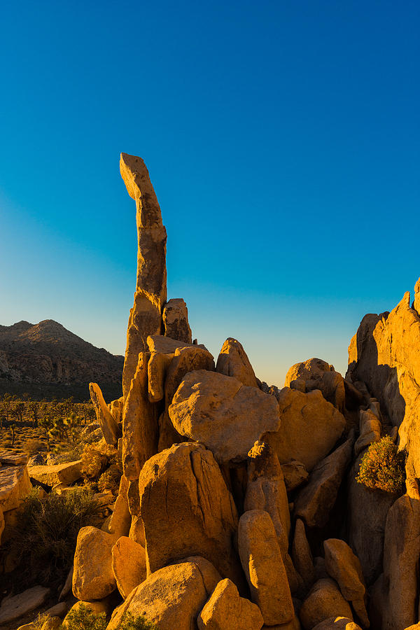 Finger Rock, Joshua Tree, Sunset Photograph by TM Schultze