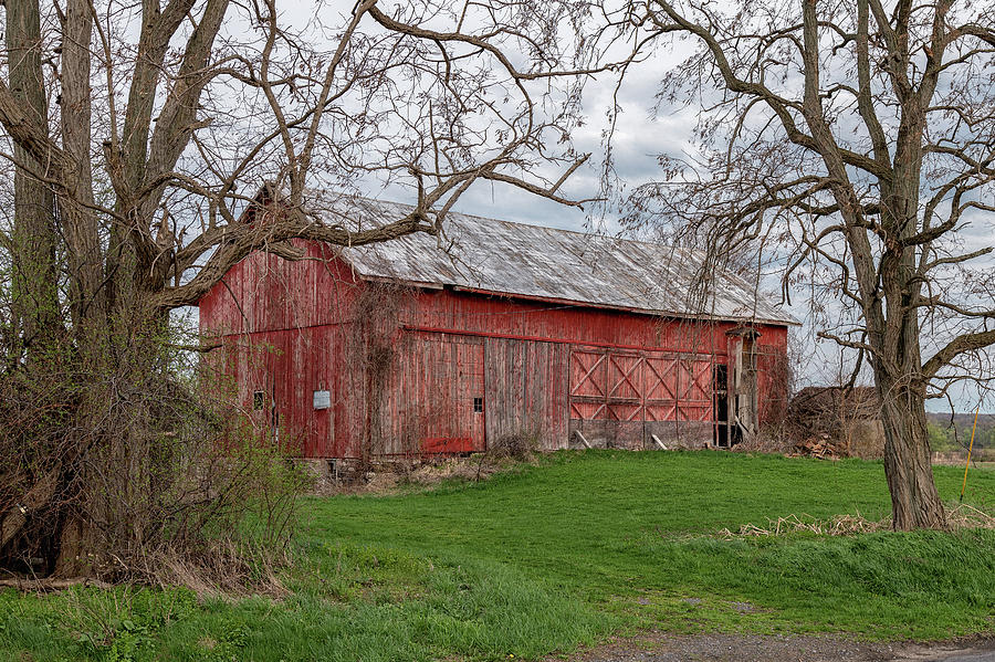 Barn Photograph - Fingerlakes Red by Rod Best