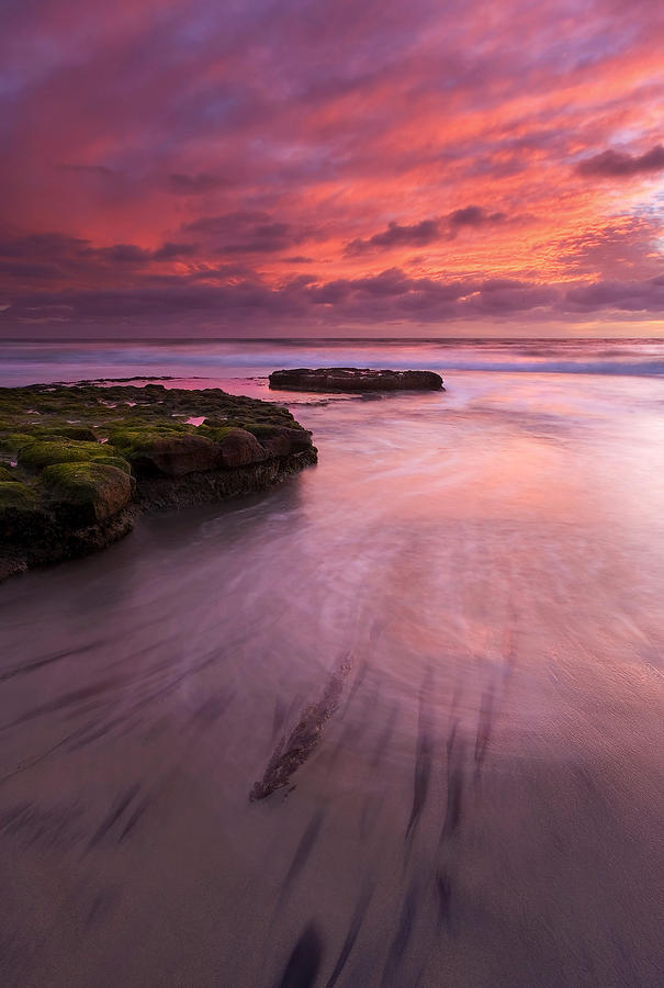 Sunset Photograph - Fingers of the Tide by Michael Dawson