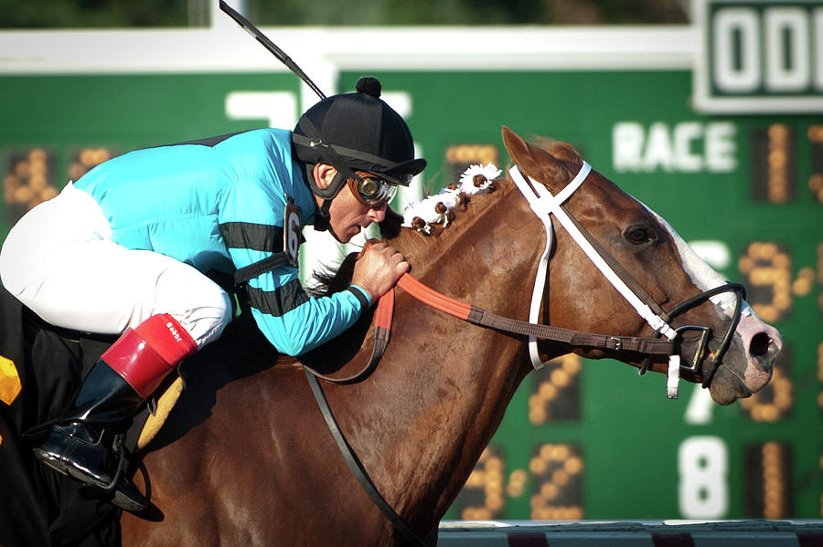 Finish Line Haskell Invitational Photograph by Russ Meseroll Fine Art