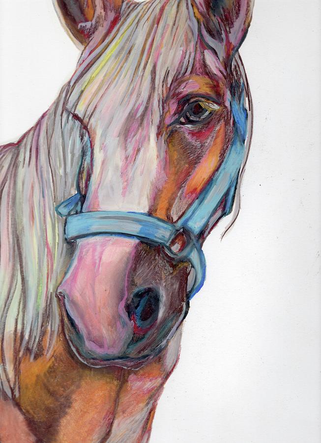 FInished Horse Drawing by Anne Seay