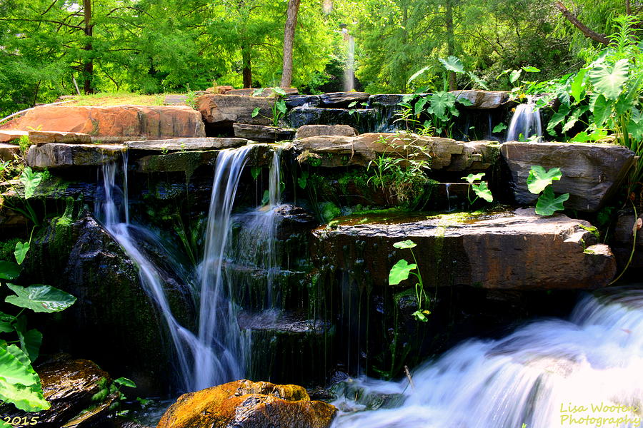 Finlay Park Waterfall Summertime Photograph by Lisa Wooten