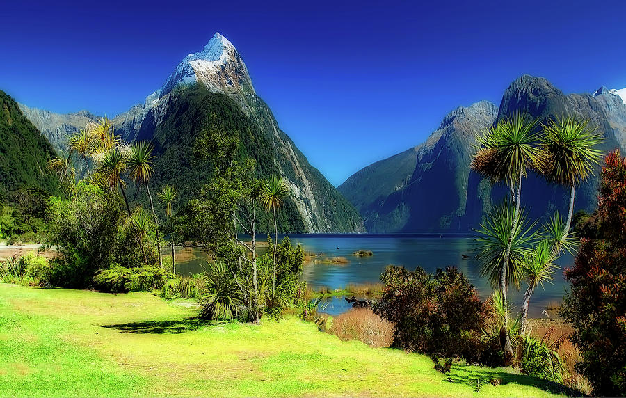 Fiordland National Park New Zealand Photograph By Mountain Dreams