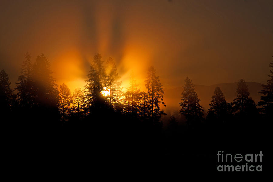 Fire and Fog Photograph by Katie LaSalle-Lowery